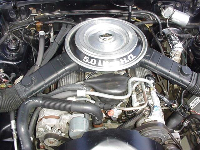 1982 FORD MUSTANG Martin's Classic Cars 