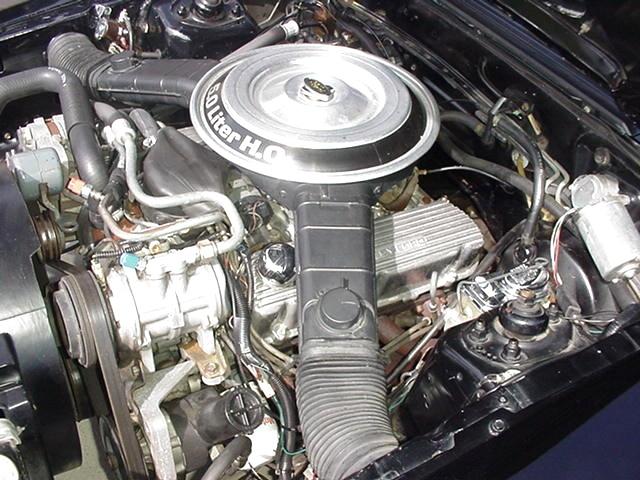 1982 FORD MUSTANG Martin's Classic Cars 