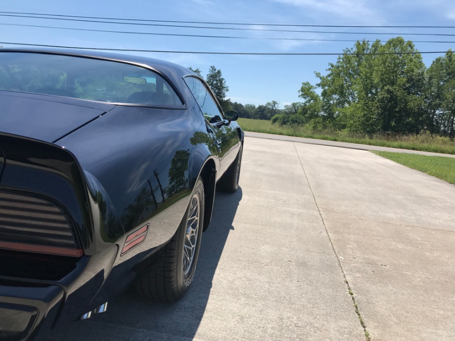 1979 Pontiac Trans Am Martin's Classic Cars 